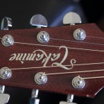 guitars 658 guitars 658