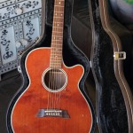 guitars 746 guitars 746