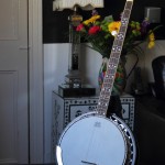 guitars 553 guitars 553