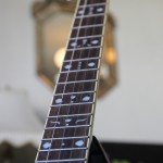 guitars 569 guitars 569