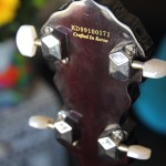 guitars 585 guitars 585