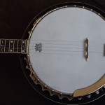 guitars 601 guitars 601