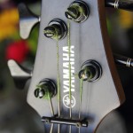 guitars 795 guitars 795